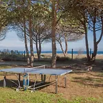 Tatil Evi Maisons Bord De Mer- Marine De Sorbo - 3 Epis *