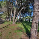 Maisons Bord De Mer- Marine De Sorbo - 3 Epis *