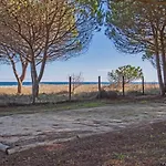 Tatil Evi Maisons Bord De Mer- Marine De Sorbo - 3 Epis