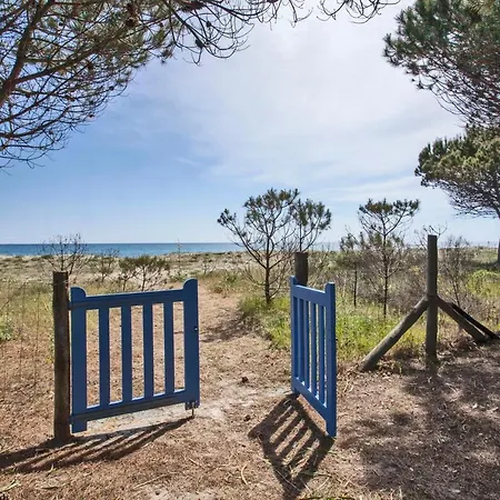 Maisons Bord De Mer- Marine De Sorbo - 3 Epis *