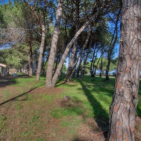 Maisons Bord De Mer- Marine De Sorbo - 3 Epis *