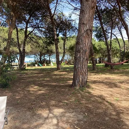 Maisons Bord De Mer- Marine De Sorbo - 3 Epis