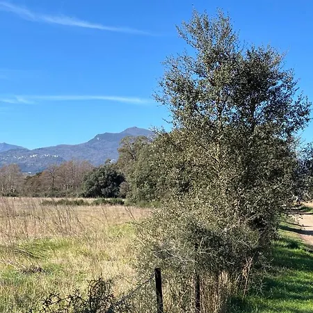 Holiday home Maisons Bord De Mer- Marine De Sorbo - 3 Epis