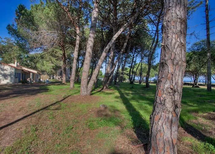 Maisons Bord De Mer- Marine De Sorbo - 3 épis *