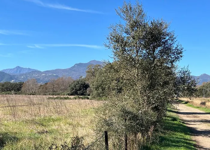 Holiday home Maisons Bord De Mer- Marine De Sorbo - 3 Epis